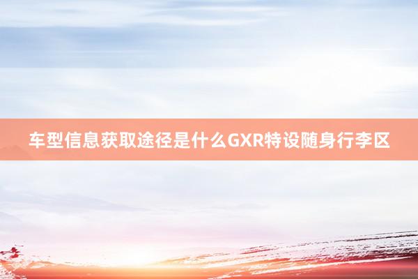 车型信息获取途径是什么GXR特设随身行李区