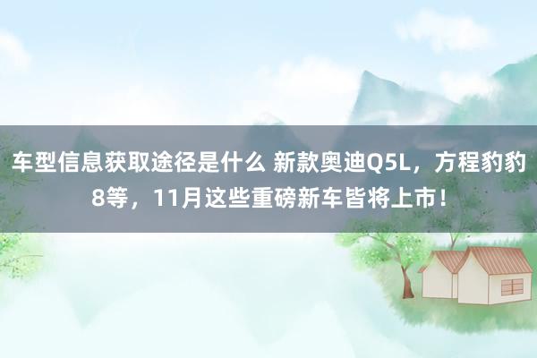 车型信息获取途径是什么 新款奥迪Q5L，方程豹豹8等，11月这些重磅新车皆将上市！