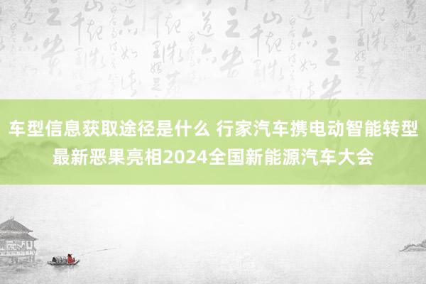 车型信息获取途径是什么 行家汽车携电动智能转型最新恶果亮相2024全国新能源汽车大会