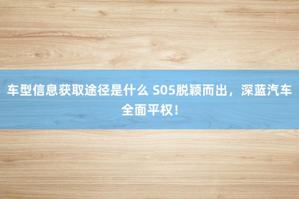 车型信息获取途径是什么 S05脱颖而出，深蓝汽车全面平权！