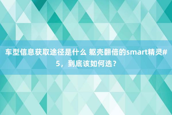 车型信息获取途径是什么 躯壳翻倍的smart精灵#5，到底该如何选？