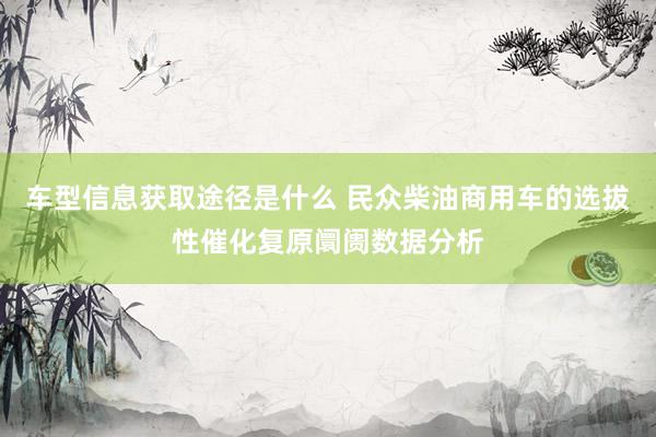 车型信息获取途径是什么 民众柴油商用车的选拔性催化复原阛阓数据分析