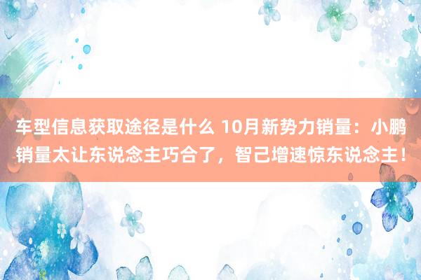 车型信息获取途径是什么 10月新势力销量：小鹏销量太让东说念主巧合了，智己增速惊东说念主！