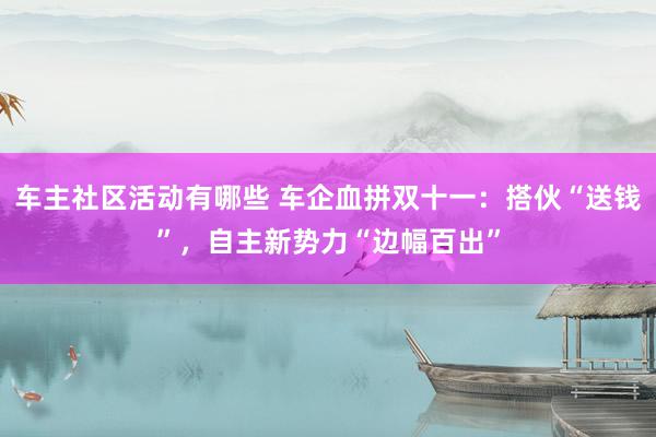 车主社区活动有哪些 车企血拼双十一：搭伙“送钱”，自主新势力“边幅百出”