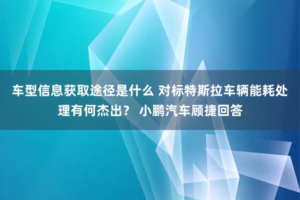 车型信息获取途径是什么 对标特斯拉车辆能耗处理有何杰出？ 小鹏汽车顾捷回答