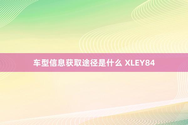 车型信息获取途径是什么 XLEY84