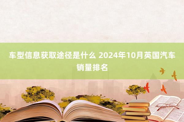 车型信息获取途径是什么 2024年10月英国汽车销量排名