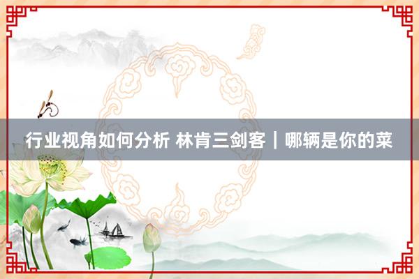 行业视角如何分析 林肯三剑客｜哪辆是你的菜