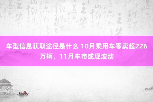 车型信息获取途径是什么 10月乘用车零卖超226万辆，11月车市或现波动