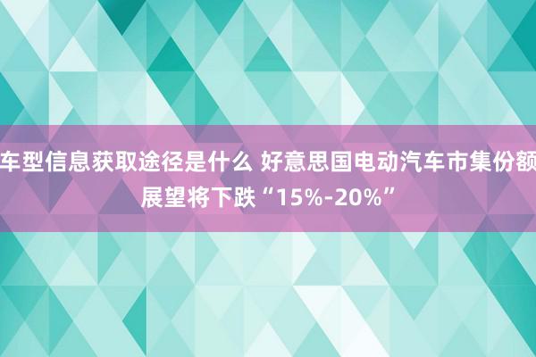 车型信息获取途径是什么 好意思国电动汽车市集份额展望将下跌“15%-20%”