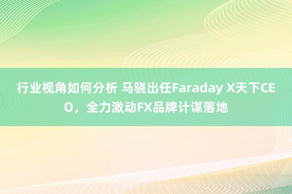 行业视角如何分析 马骁出任Faraday X天下CEO，全力激动FX品牌计谋落地