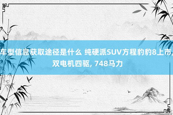 车型信息获取途径是什么 纯硬派SUV方程豹豹8上市, 双电机四驱, 748马力