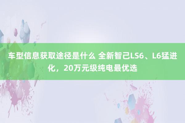 车型信息获取途径是什么 全新智己LS6、L6猛进化，20万元级纯电最优选