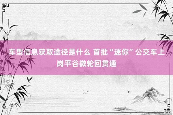 车型信息获取途径是什么 首批“迷你”公交车上岗平谷微轮回贯通