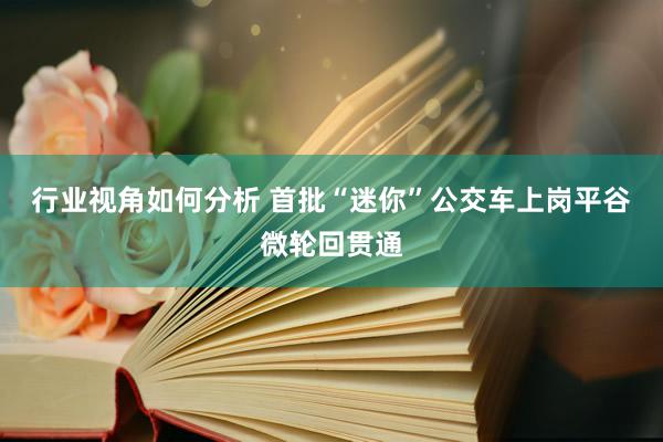 行业视角如何分析 首批“迷你”公交车上岗平谷微轮回贯通