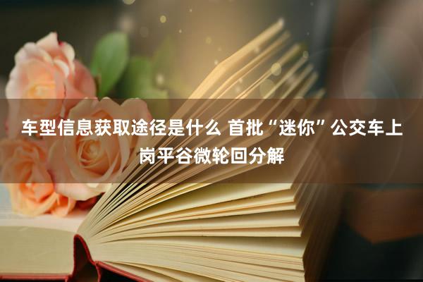 车型信息获取途径是什么 首批“迷你”公交车上岗平谷微轮回分解