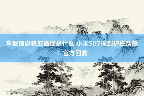 车型信息获取途径是什么 小米SU7撞到护栏动怒！官方回复