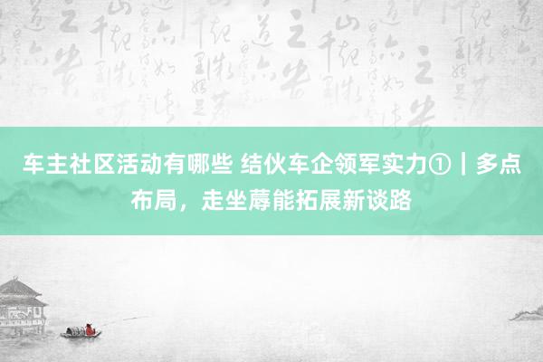 车主社区活动有哪些 结伙车企领军实力①｜多点布局，走坐蓐能拓展新谈路