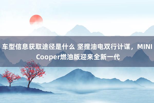 车型信息获取途径是什么 坚捏油电双行计谋，MINI Cooper燃油版迎来全新一代