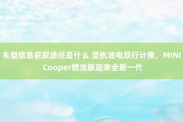 车型信息获取途径是什么 坚执油电双行计策，MINI Cooper燃油版迎来全新一代