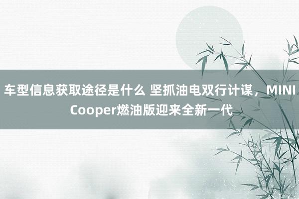 车型信息获取途径是什么 坚抓油电双行计谋，MINI Cooper燃油版迎来全新一代