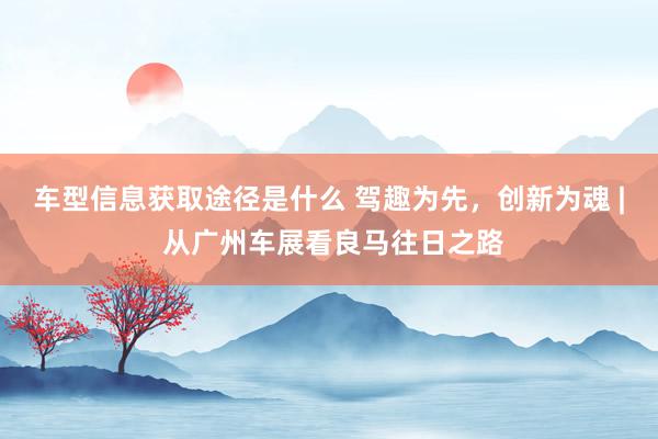 车型信息获取途径是什么 驾趣为先，创新为魂 | 从广州车展看良马往日之路