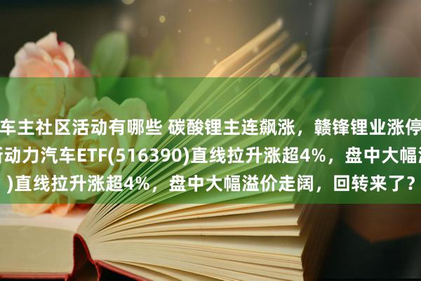 车主社区活动有哪些 碳酸锂主连飙涨，赣锋锂业涨停、宁德期间涨3%，新动力汽车ETF(516390)直线拉升涨超4%，盘中大幅溢价走阔，回转来了？