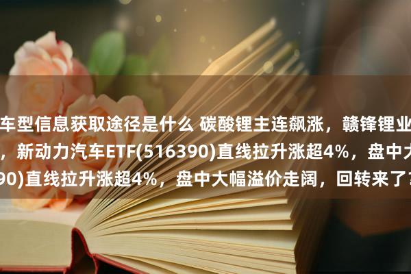 车型信息获取途径是什么 碳酸锂主连飙涨，赣锋锂业涨停、宁德时间涨3%，新动力汽车ETF(516390)直线拉升涨超4%，盘中大幅溢价走阔，回转来了？