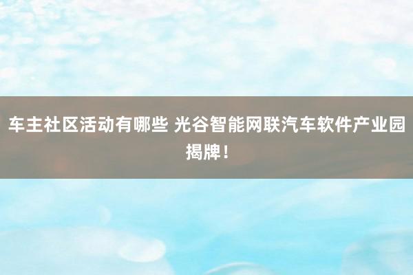 车主社区活动有哪些 光谷智能网联汽车软件产业园揭牌！