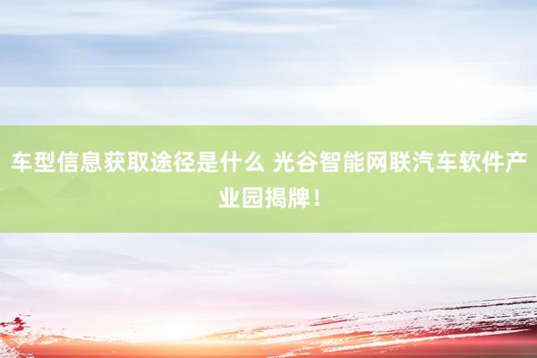 车型信息获取途径是什么 光谷智能网联汽车软件产业园揭牌！