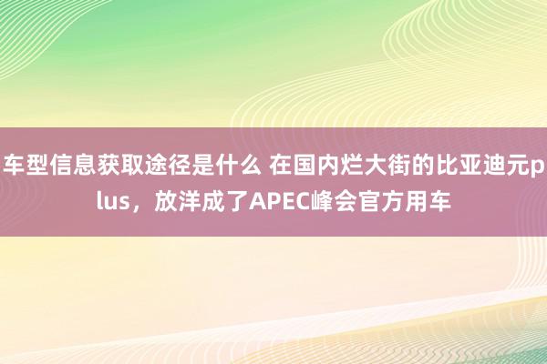 车型信息获取途径是什么 在国内烂大街的比亚迪元plus，放洋成了APEC峰会官方用车