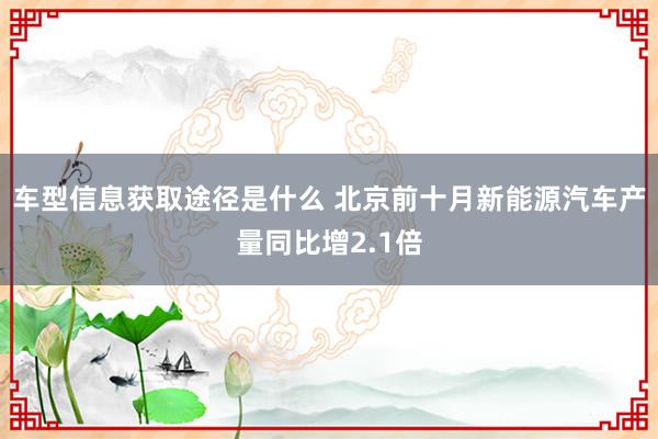 车型信息获取途径是什么 北京前十月新能源汽车产量同比增2.1倍