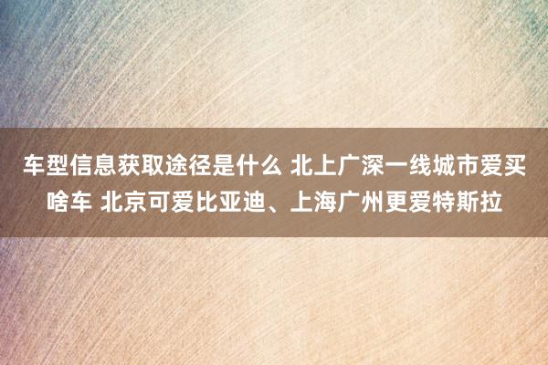 车型信息获取途径是什么 北上广深一线城市爱买啥车 北京可爱比亚迪、上海广州更爱特斯拉