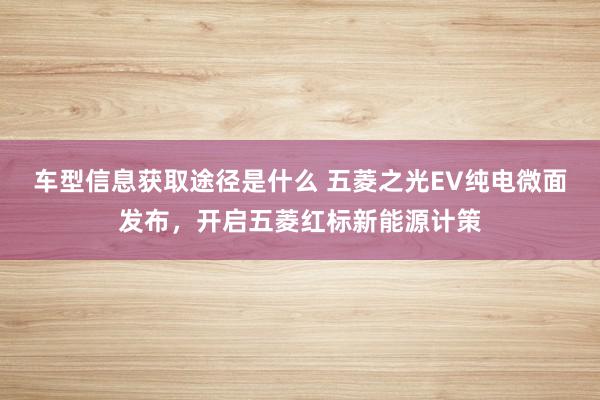 车型信息获取途径是什么 五菱之光EV纯电微面发布，开启五菱红标新能源计策