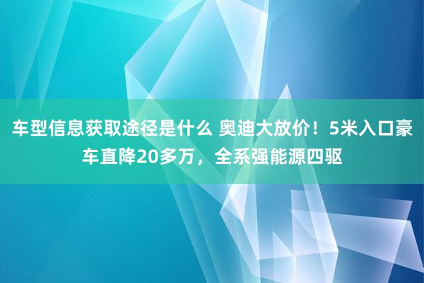 车型信息获取途径是什么 奥迪大放价！5米入口豪车直降20多万，全系强能源四驱