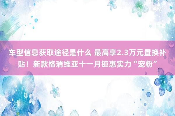 车型信息获取途径是什么 最高享2.3万元置换补贴！新款格瑞维亚十一月钜惠实力“宠粉”