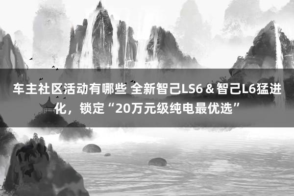 车主社区活动有哪些 全新智己LS6＆智己L6猛进化，锁定“20万元级纯电最优选”