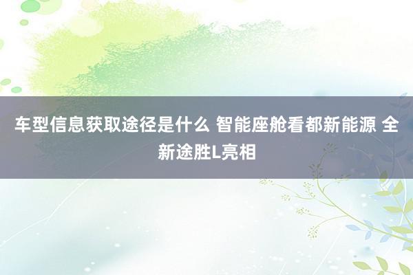 车型信息获取途径是什么 智能座舱看都新能源 全新途胜L亮相