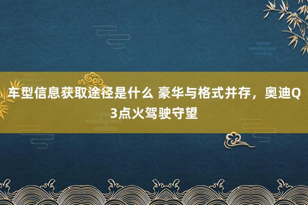 车型信息获取途径是什么 豪华与格式并存，奥迪Q3点火驾驶守望