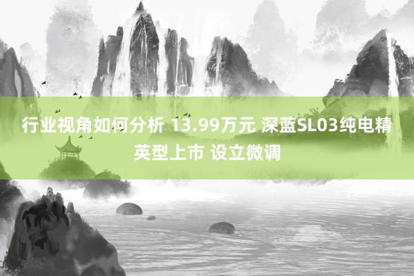 行业视角如何分析 13.99万元 深蓝SL03纯电精英型上市 设立微调