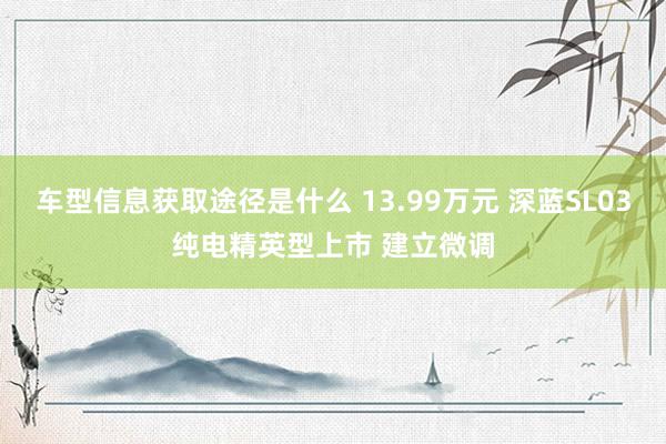 车型信息获取途径是什么 13.99万元 深蓝SL03纯电精英型上市 建立微调