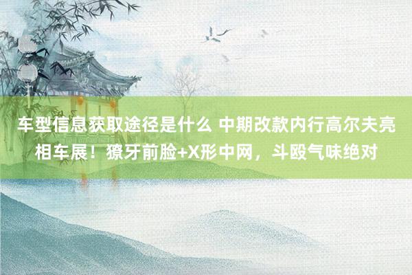 车型信息获取途径是什么 中期改款内行高尔夫亮相车展！獠牙前脸+X形中网，斗殴气味绝对