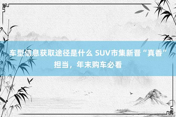 车型信息获取途径是什么 SUV市集新晋“真香”担当，年末购车必看