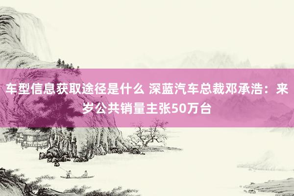 车型信息获取途径是什么 深蓝汽车总裁邓承浩：来岁公共销量主张50万台