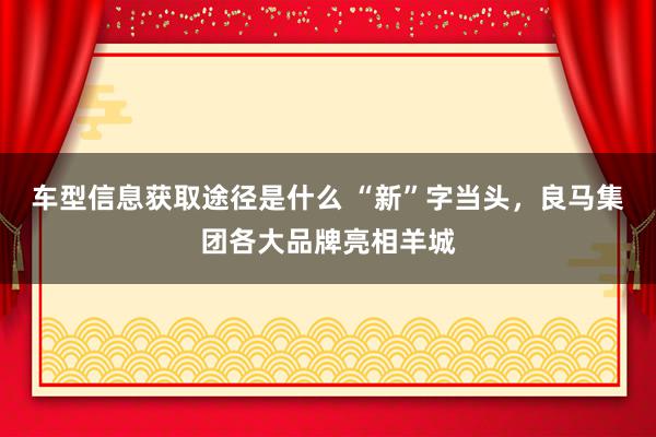 车型信息获取途径是什么 “新”字当头，良马集团各大品牌亮相羊城