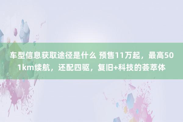 车型信息获取途径是什么 预售11万起，最高501km续航，还配四驱，复旧+科技的荟萃体