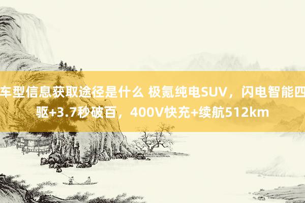 车型信息获取途径是什么 极氪纯电SUV，闪电智能四驱+3.7秒破百，400V快充+续航512km