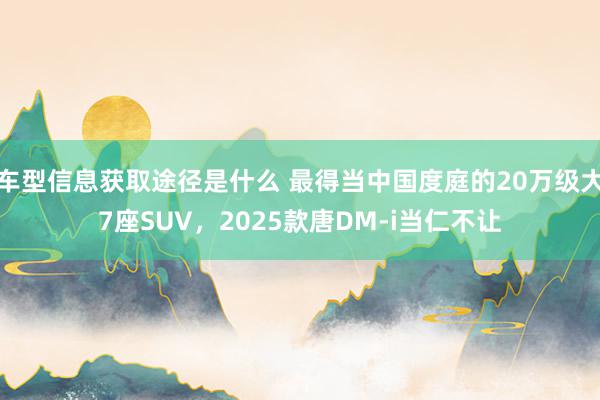 车型信息获取途径是什么 最得当中国度庭的20万级大7座SUV，2025款唐DM-i当仁不让