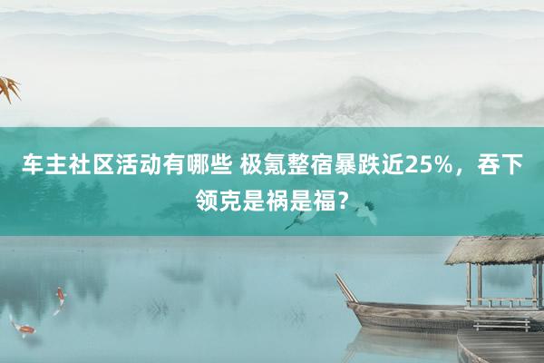 车主社区活动有哪些 极氪整宿暴跌近25%，吞下领克是祸是福？