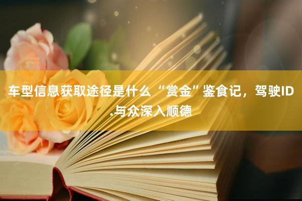 车型信息获取途径是什么 “赏金”鉴食记，驾驶ID.与众深入顺德